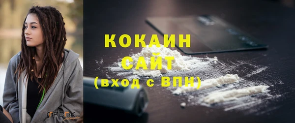 стаф Нея