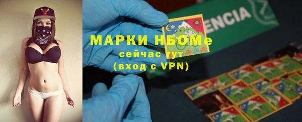 стаф Нея