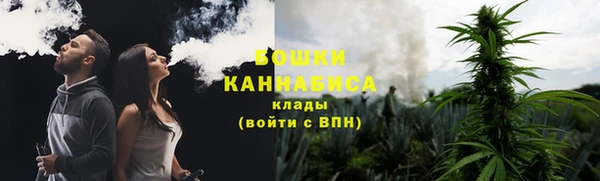 стаф Нея