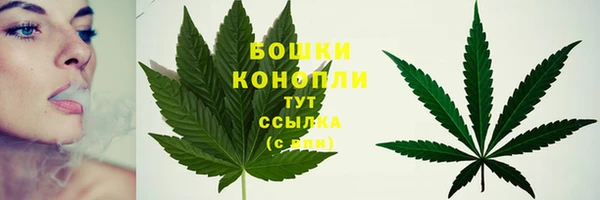 стаф Нея