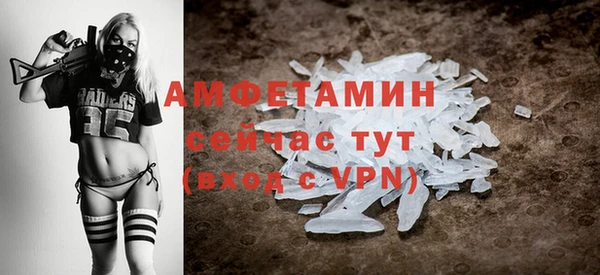 стаф Нея