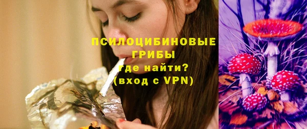 стаф Нея