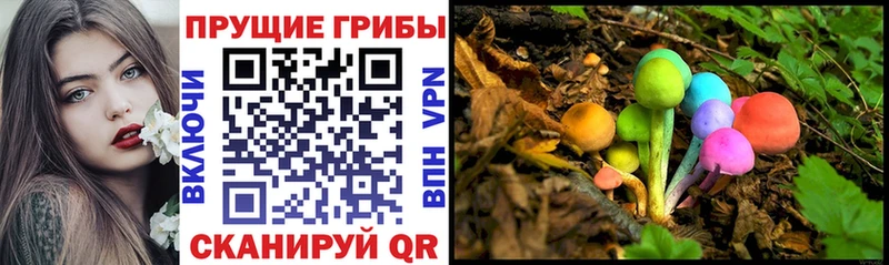 Галлюциногенные грибы MAGIC MUSHROOMS  закладки  Кадников 